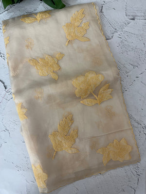 Shimmer Crush Organza saree with applique work MBS698