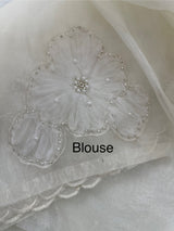 Handworked Tissue Organza Applique work saree MS15203- Offwhite