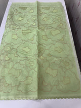 Viscose organza saree with thread work - MSH925 PastelGreen