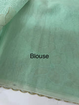 Viscose organza saree with thread work - MSH925 PastelAqua