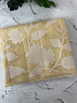 Semi organza saree with appliqué work - MSH906 Beige(2)