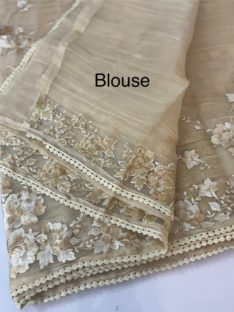 Tissue Organza saree with thread work  MS14931 - Beige