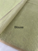 Tissue linen saree with embroidery MTL451 PastelGreen