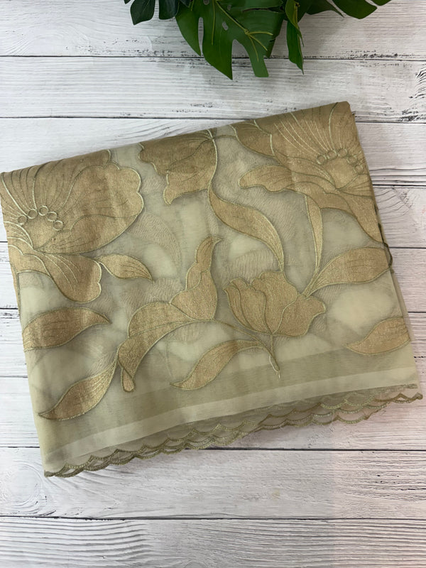 Organza saree with tissue applique work MS5081 - Pastel DuskyGreen