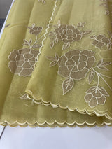 Organza saree with applique work MS5081