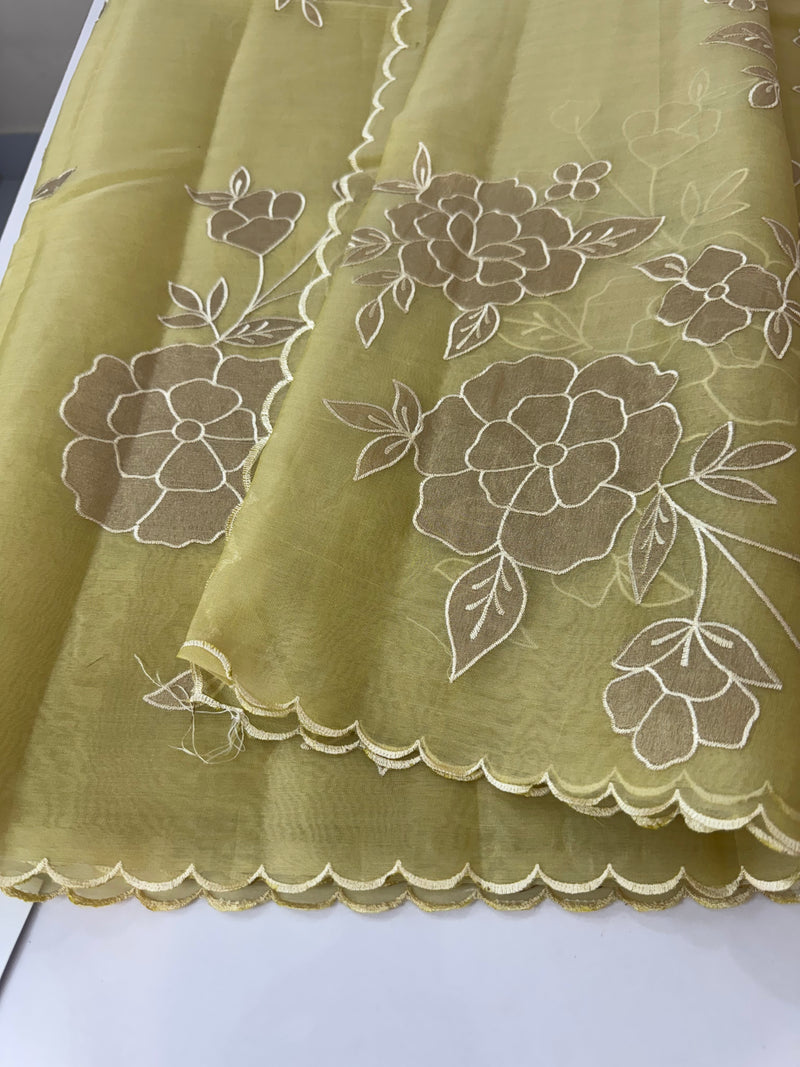 Organza saree with applique work MS5081
