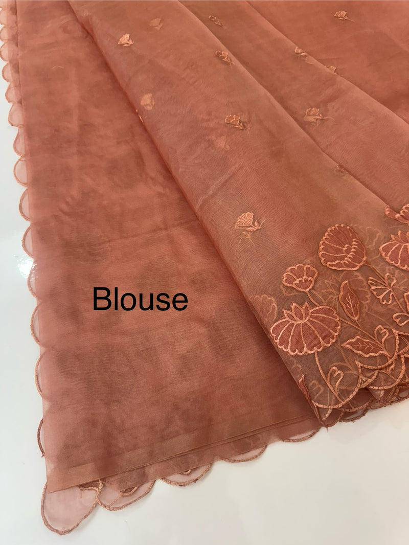 Viscose Organza saree with applique work-MSH103 DuskyPeach