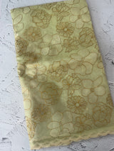 Semi organza saree with thread work - MSH910 Pastel Green