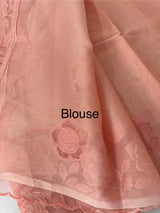 Viscose Organza saree with applique work-MSH101 (2) Peach