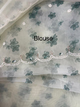 Handworked Glass organza saree with digital prints- MOS987