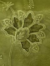 Glass organza saree with applique work- MSHW229