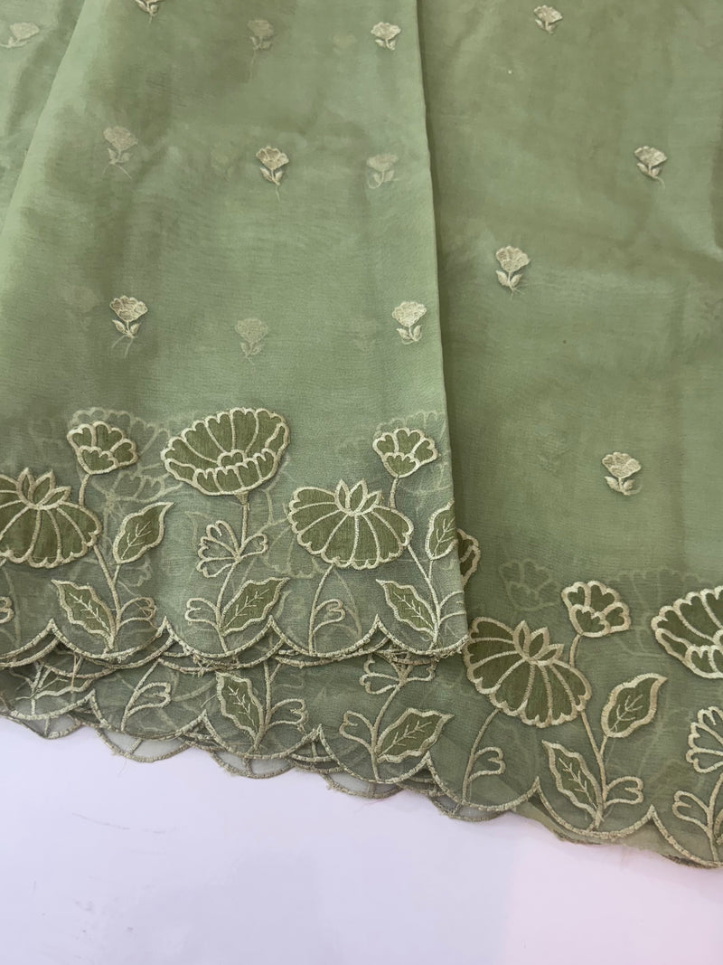 Viscose Organza saree with applique work-MSH103 DuskyGreen