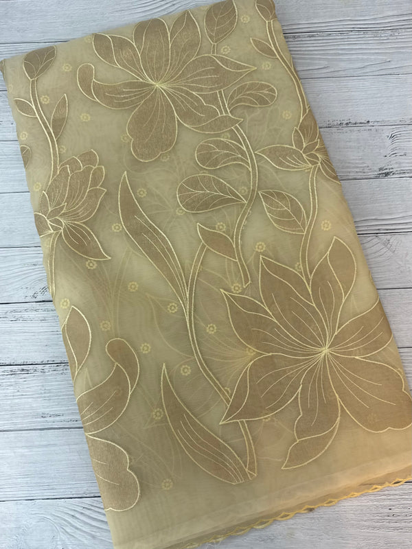 Organza saree with tissue applique work MS5081- Ivory