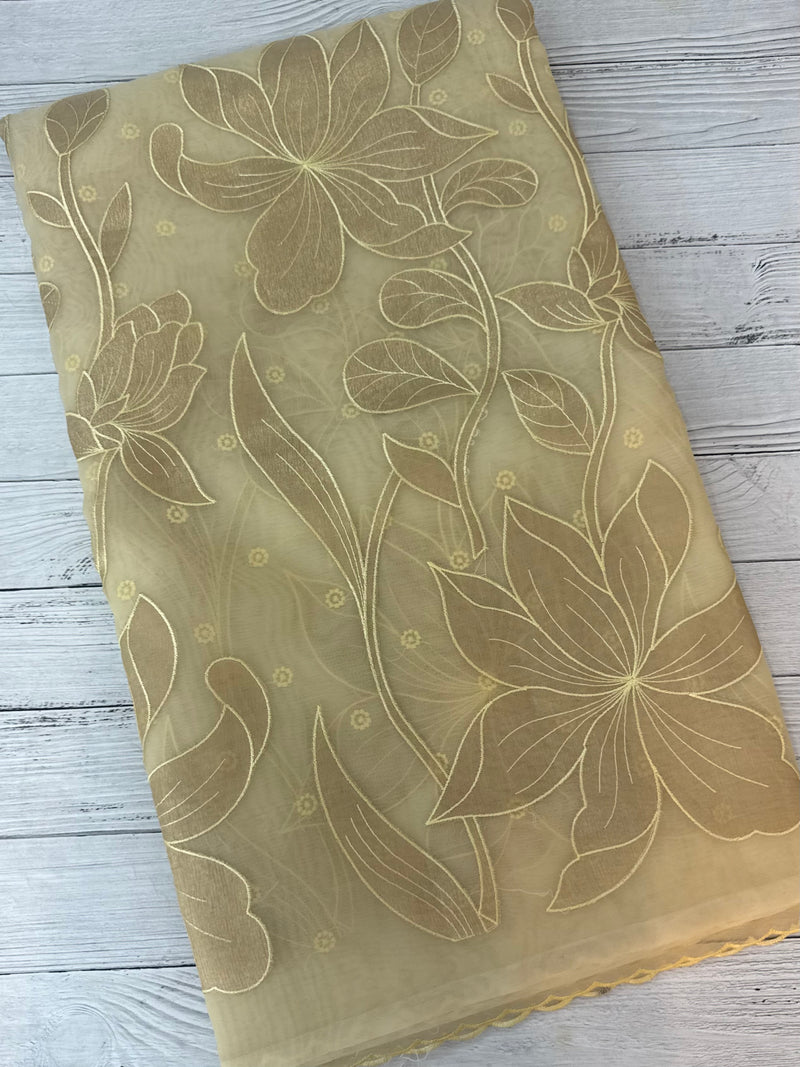 Organza saree with tissue applique work MS5081- Ivory