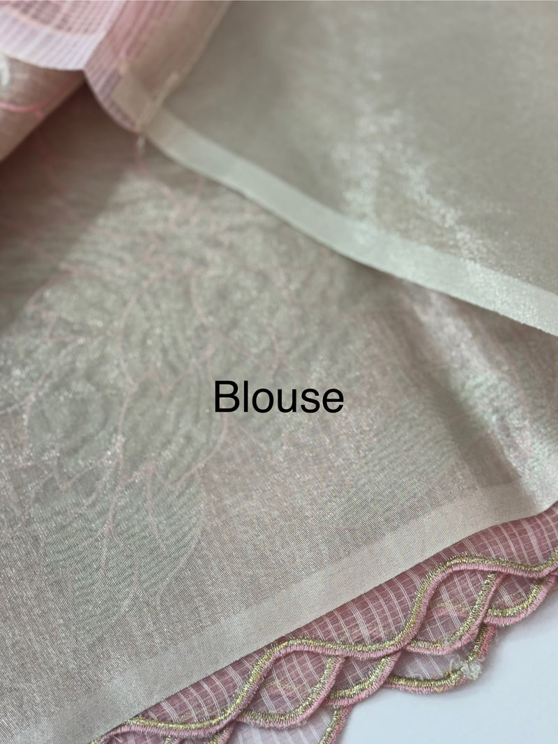 NetKota saree with tissue applique work MS15145 - PastelPink