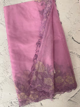Semi Organza saree with applique borders - MCW799
