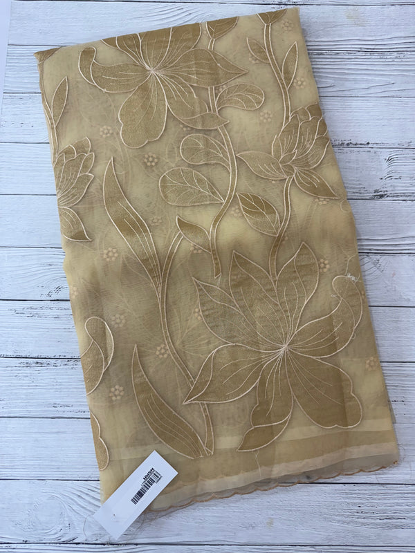 Organza saree with tissue applique work MS5081- Beige
