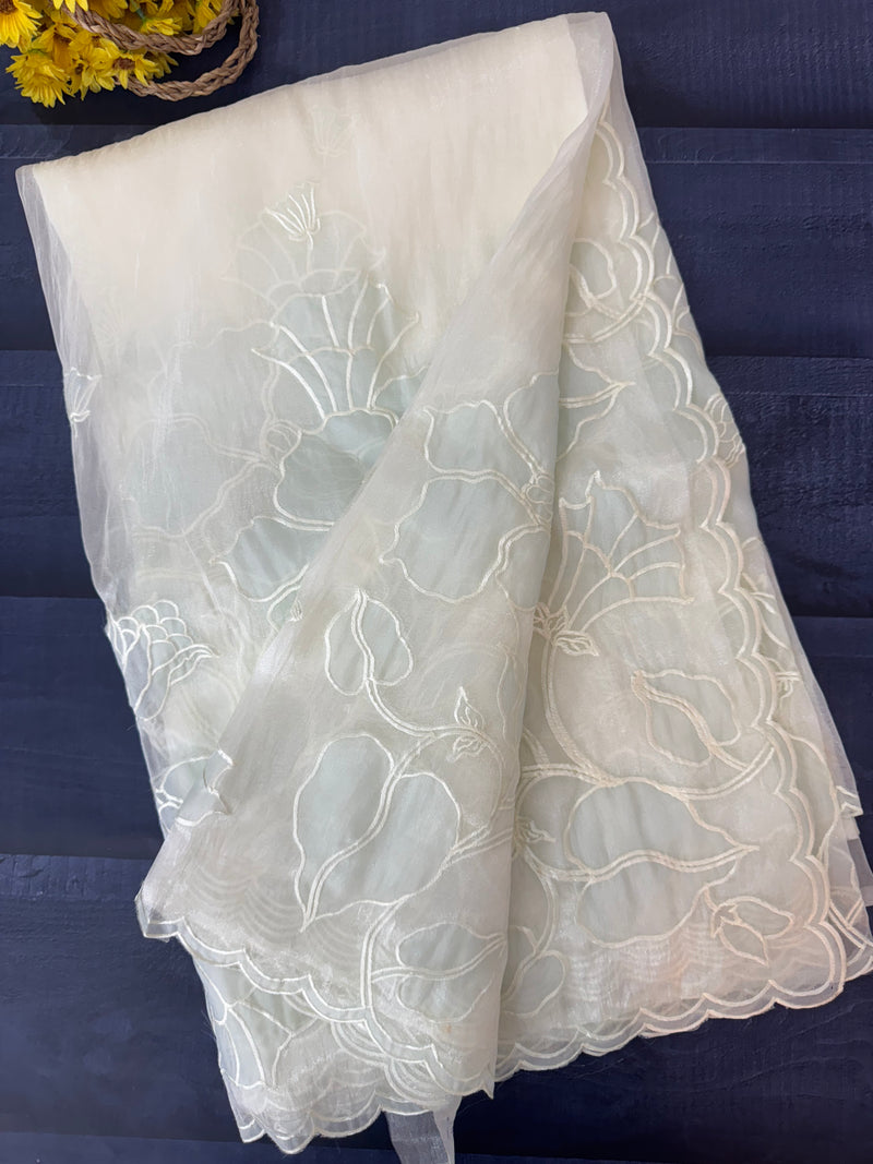 Tissue Organza Applique work saree MS15203