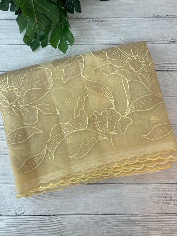 Organza saree with tissue applique work MS5081 - Ivory