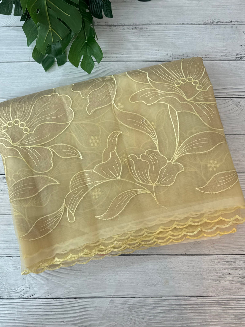 Organza saree with tissue applique work MS5081 - Ivory