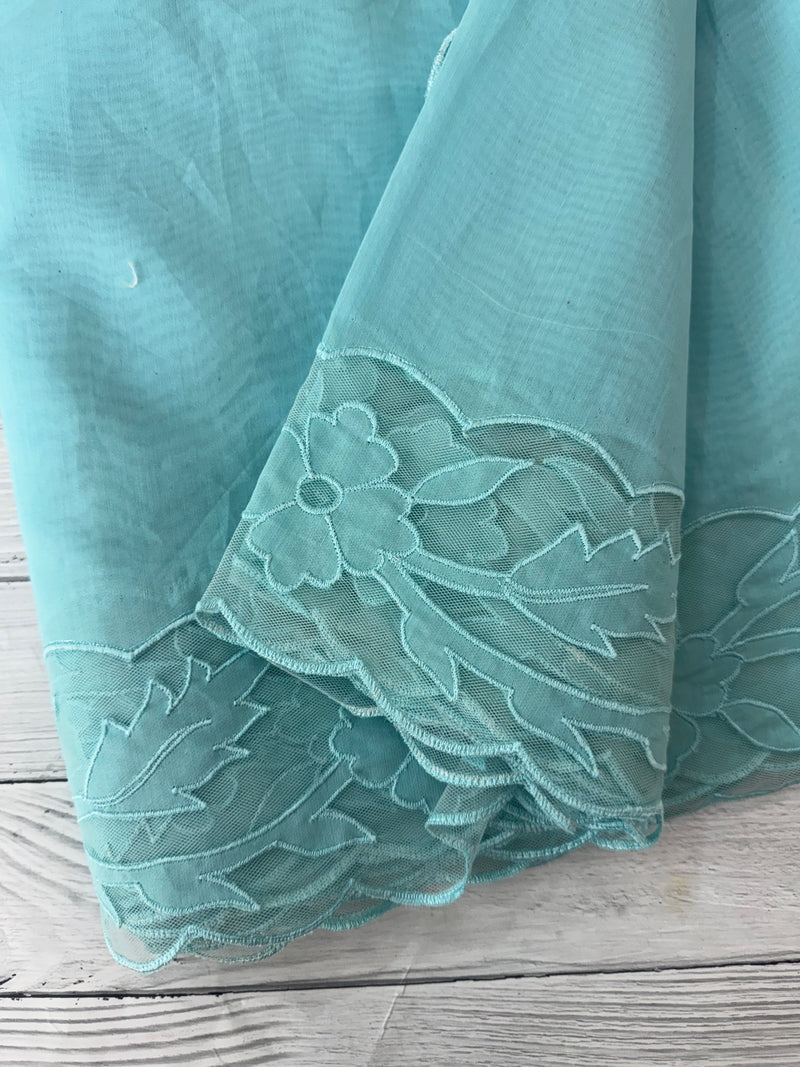 Mul chanderi saree with applique borders MSH111 PastelBlue