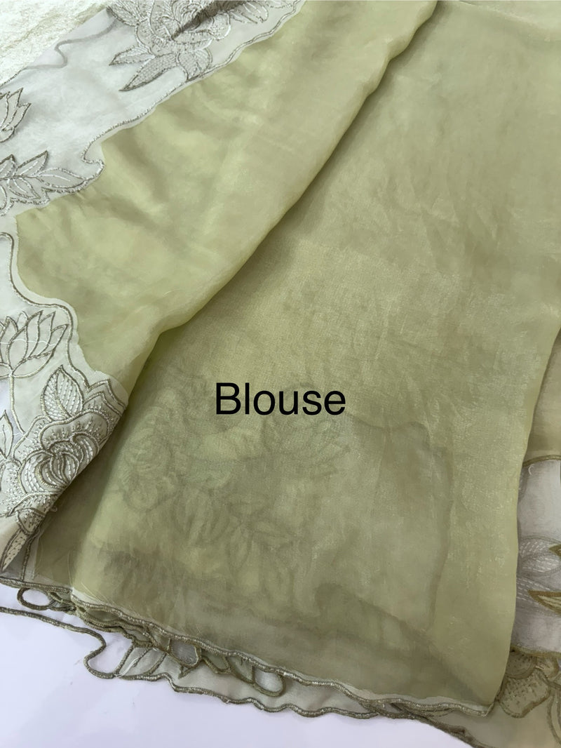 Fancy satin silk organza saree with applique borders MS14207 DuskyGreen