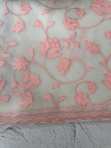 Viscose Organza saree with applique work-MSH194