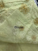 Semi organza saree with thread work - MSH910 PastelGreen