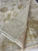 Organza saree with tissue applique work MS5081- CloudGrey