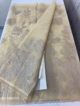 Organza saree with tissue applique work MS5081- Beige
