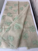 Shimmer Crush Organza saree with applique work MBS698
