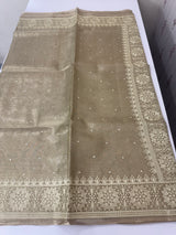 Tissue silk saree with Chikankari embroidery MTTS97(2)