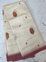 Blended tussar saree with cross embriodery - MSH1456