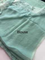 Fancy satin silk organza saree with applique borders MS14207 BlueGreen