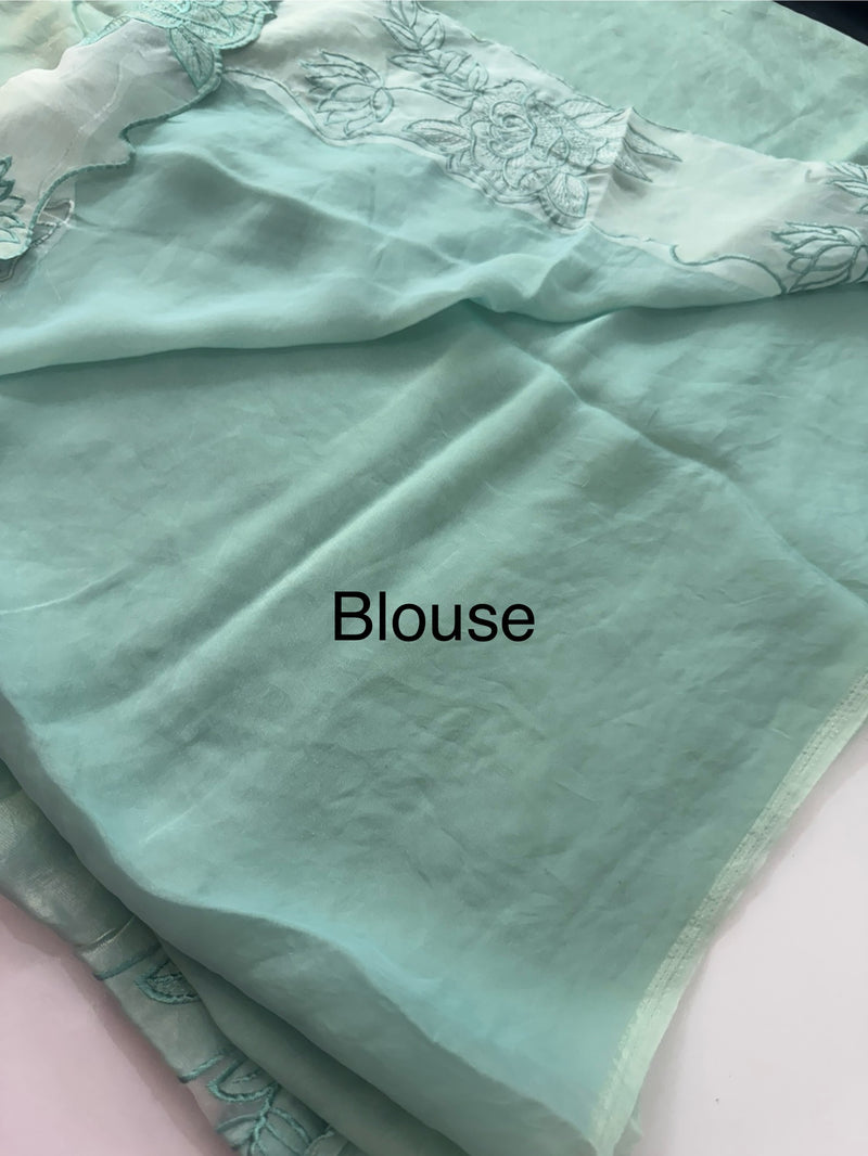 Fancy satin silk organza saree with applique borders MS14207 BlueGreen