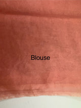 Semi Organza saree with applique borders - MCW799