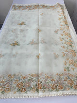Organza saree with prints & hand embriodery work MS15333