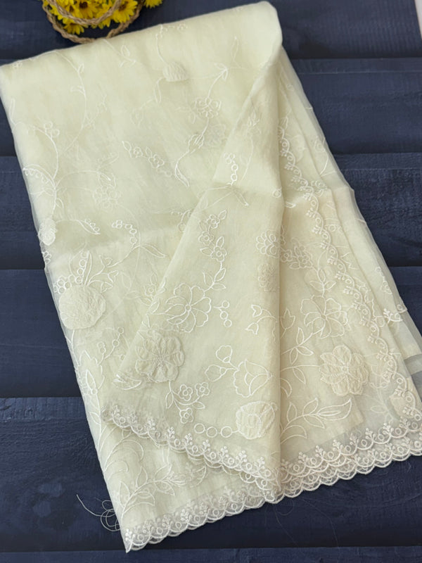 Tissue Organza Applique work saree MS14053