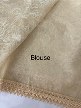 Organza saree with thread work - MSH192 PalePeach