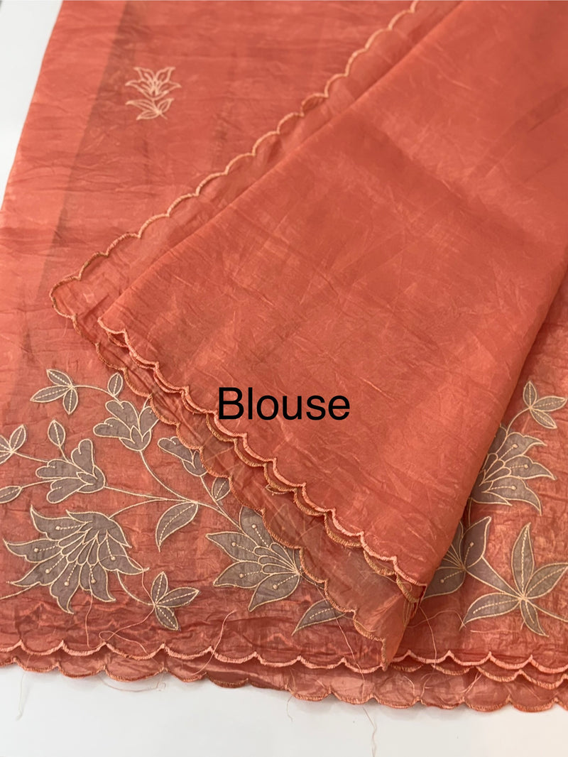 Crush Organza applique work saree MS14589 - Peach