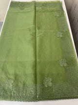 Semi Organza saree with applique and sequence borders - MCW699 DustyGreen