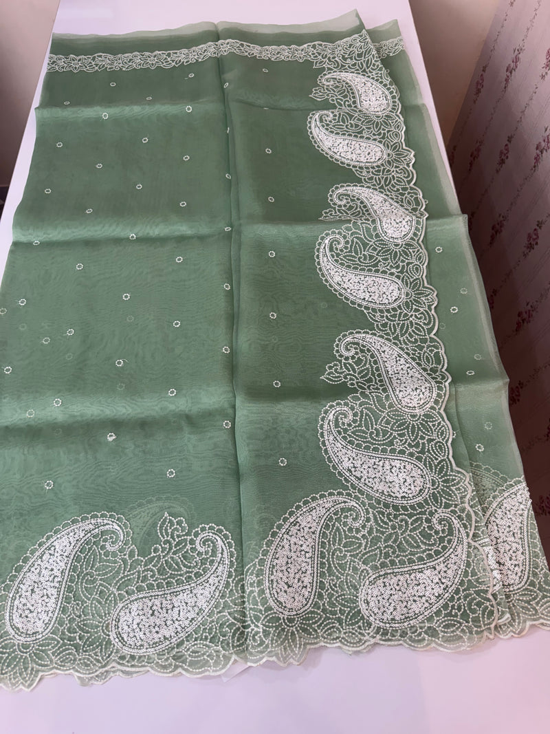 Viscose Organza saree with embriodery-MS14414