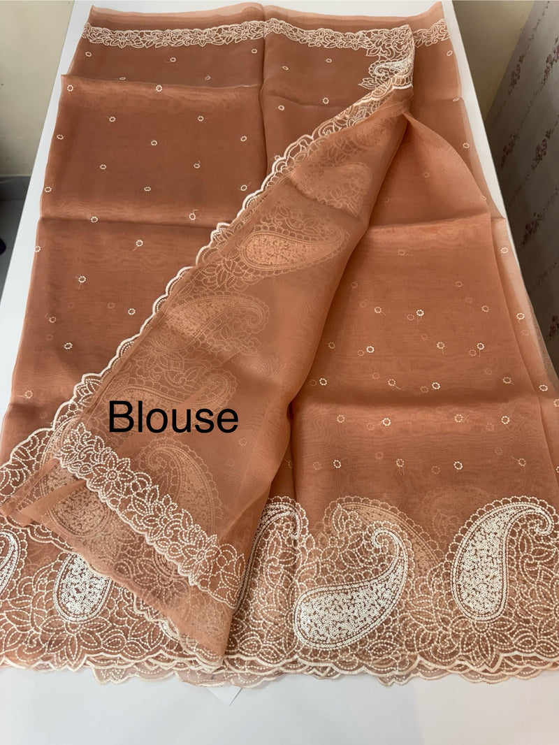 Viscose Organza saree with embriodery-MS14414