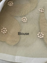Organza saree with tissue applique work MS5081 - Pastel DuskyGreen