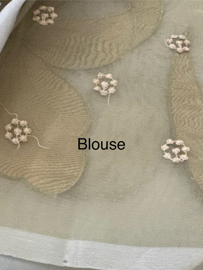 Organza saree with tissue applique work MS5081 - Pastel DuskyGreen