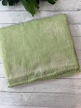 Semi linen saree with embroidery- MS15087 PastelGreen
