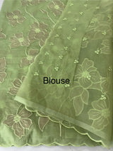 Semi organza saree with tissue applqiue work - MSH931
