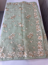 Tissue Organza saree with thread work  MS14931 PastelGreen