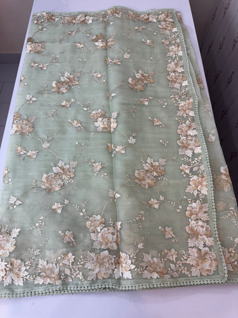 Tissue Organza saree with thread work  MS14931 PastelGreen
