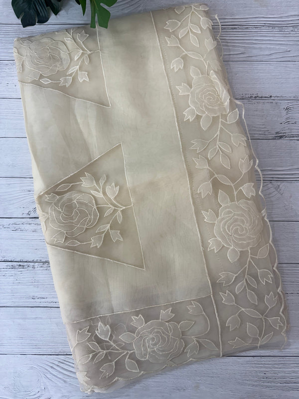 Viscose Organza saree with applique work-MSH101 Beige